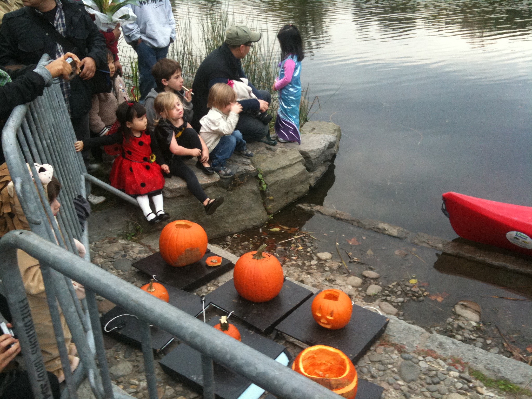 Pumpkin Sail, Harlem Meer, 2010