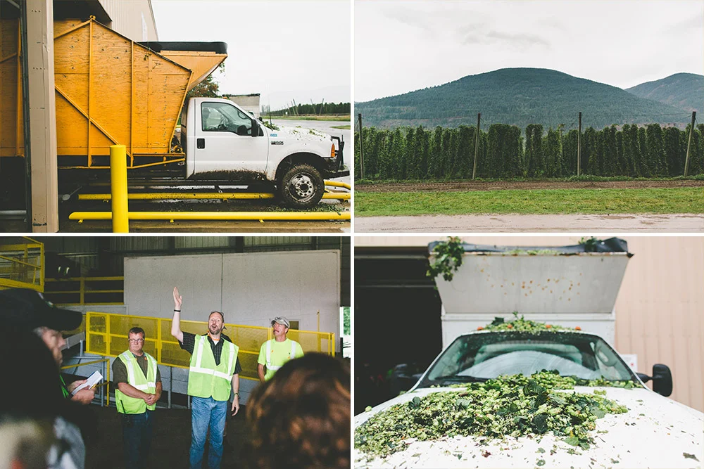 Plant Manager, Ed Atkins and his team provide an overview of the hop processing machinery