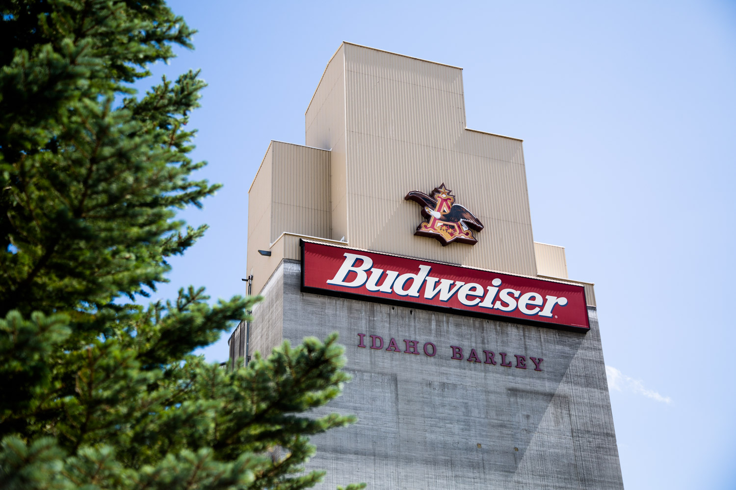 Sightlines Feature — The Biggest Beer Buyout in History