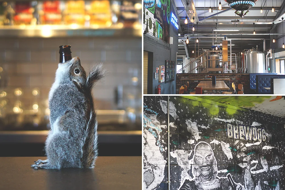 BrewDog is Crowdfunding a Sour Brewery and Hotel in Ohio