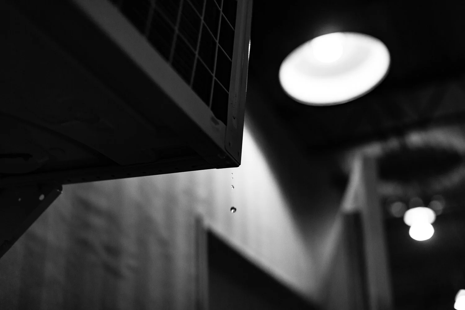 FP7A2645.jpg