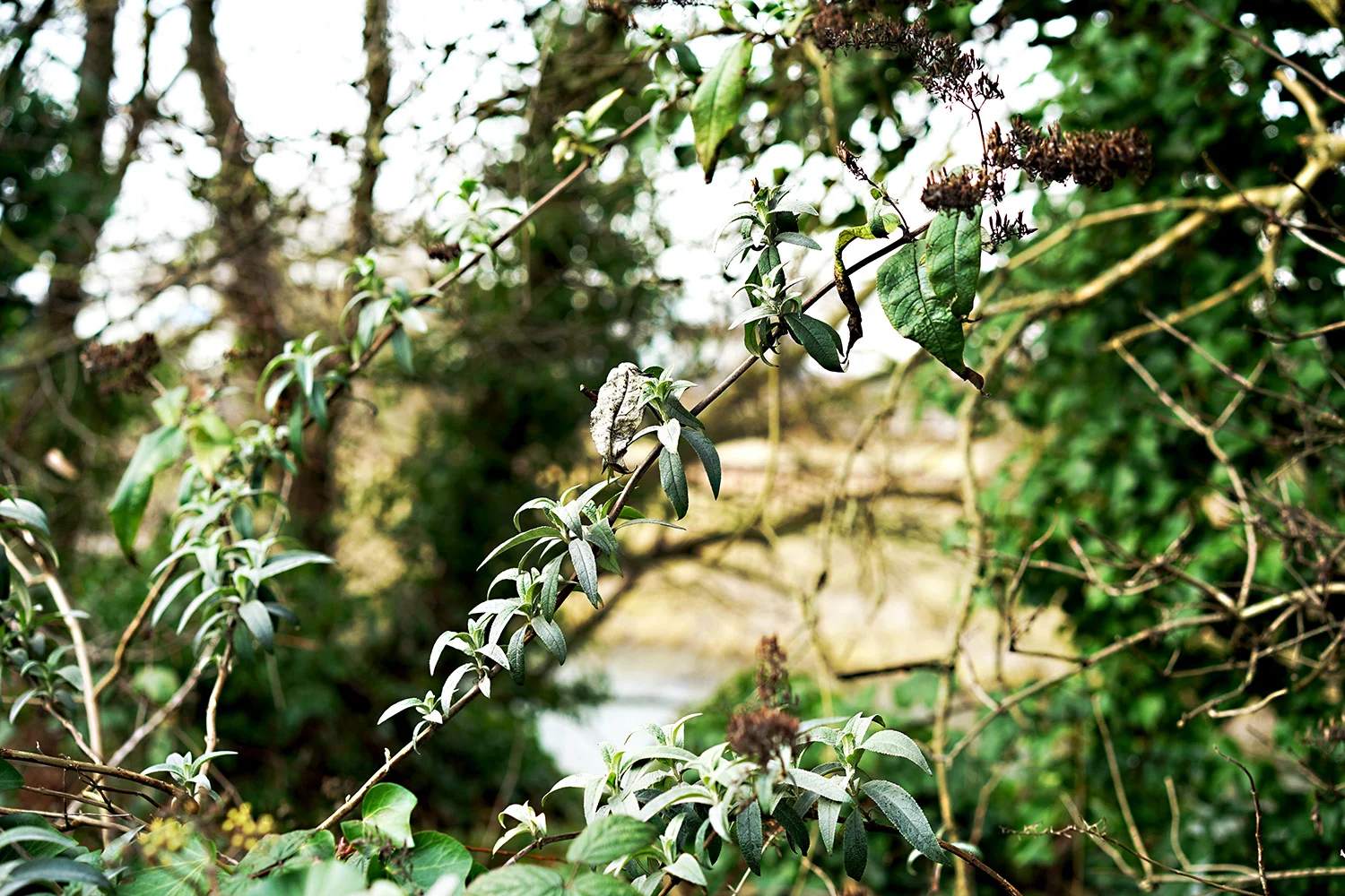 Lost and Grounded Surrounding Area 2.jpg