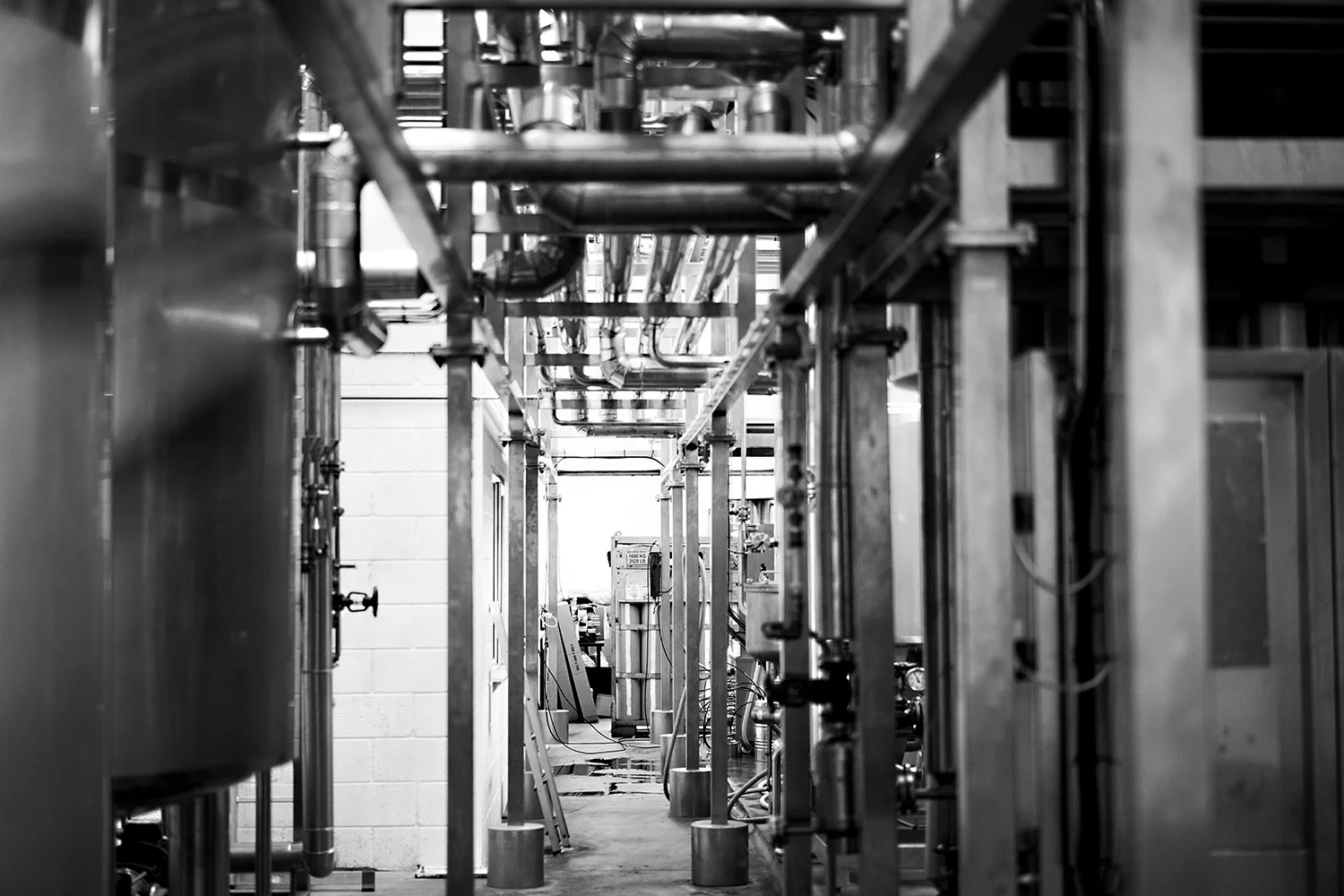 Lost and Grounded Brewery Interior 5.jpg