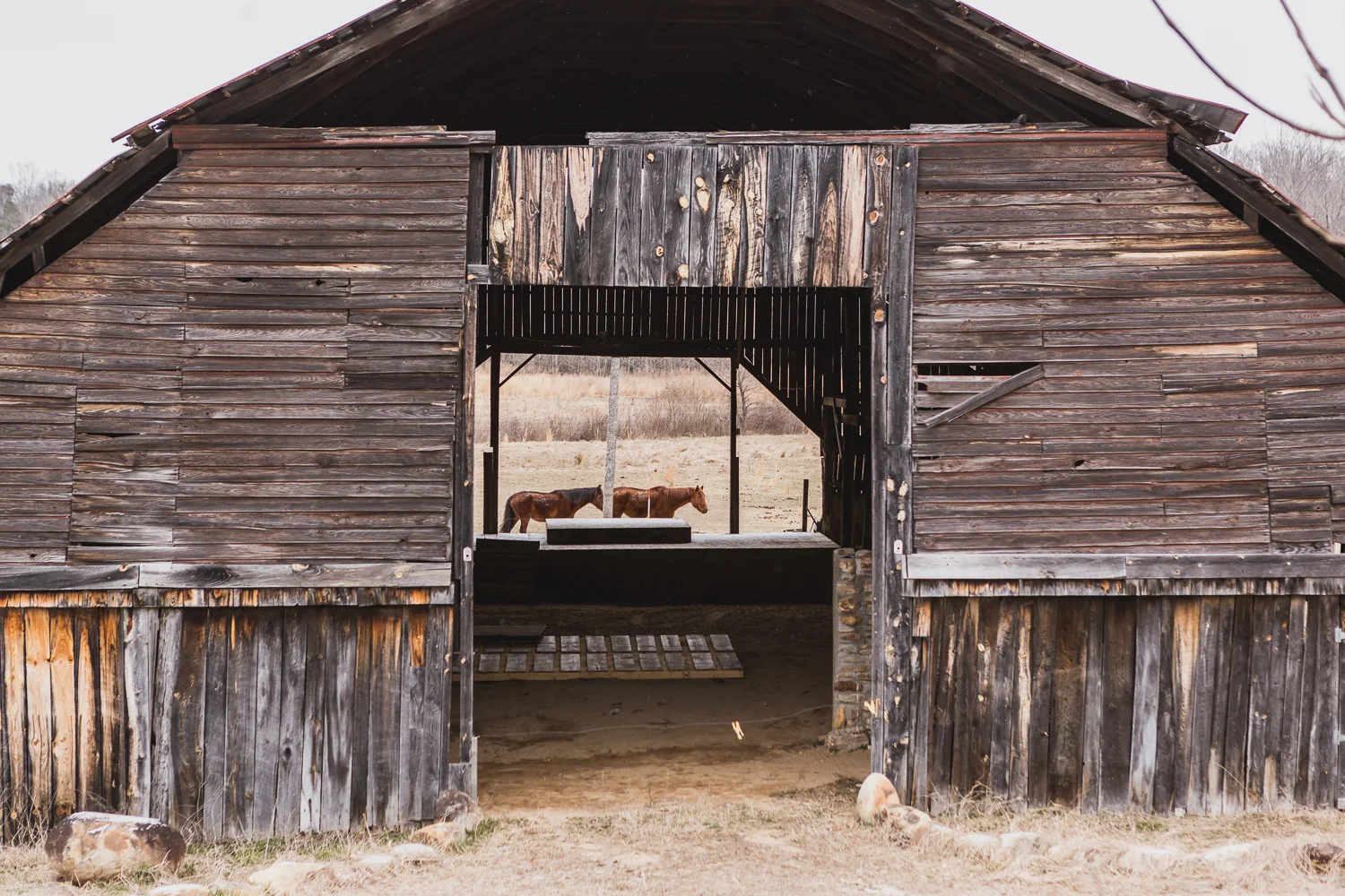 Winter Harvest — Fonta Flora Opening New Farm Brewery Production Space