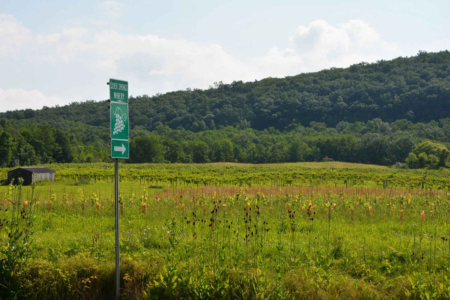 winery sign on road.jpg