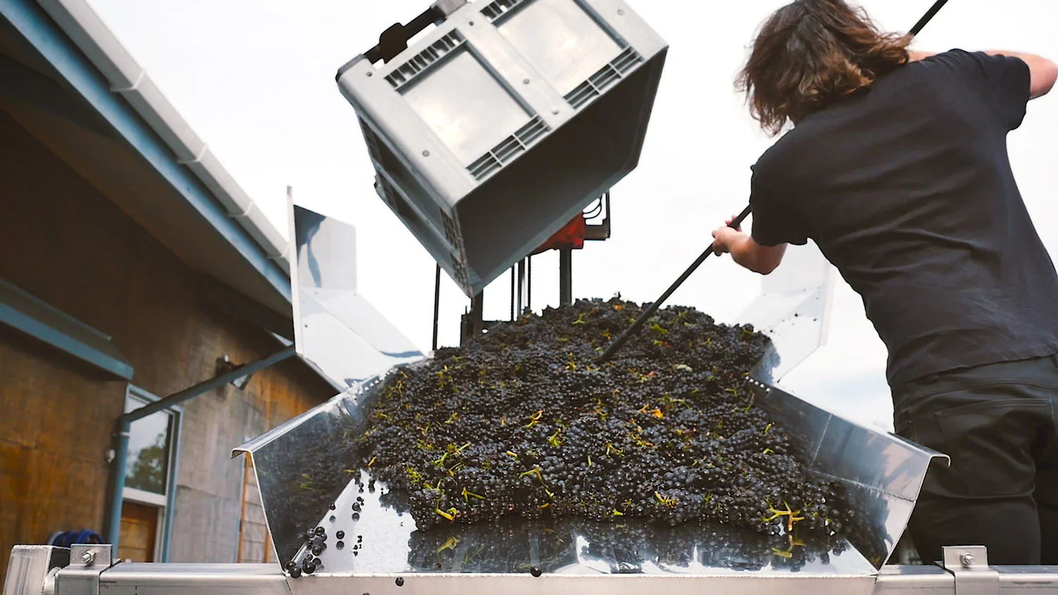 Totally Natural – New Zealand’s Garage Project Launches Range of Natural Wines
