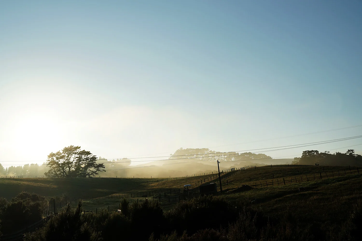 New Zealand - Landscape 2.jpg