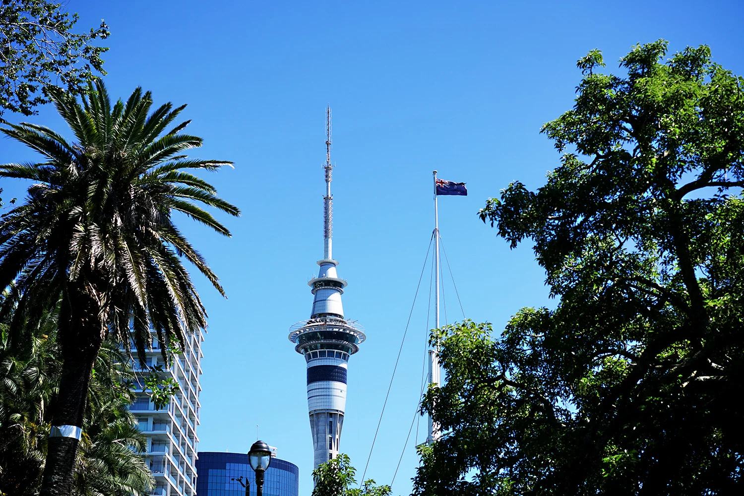 NZ Auckland 1.jpg