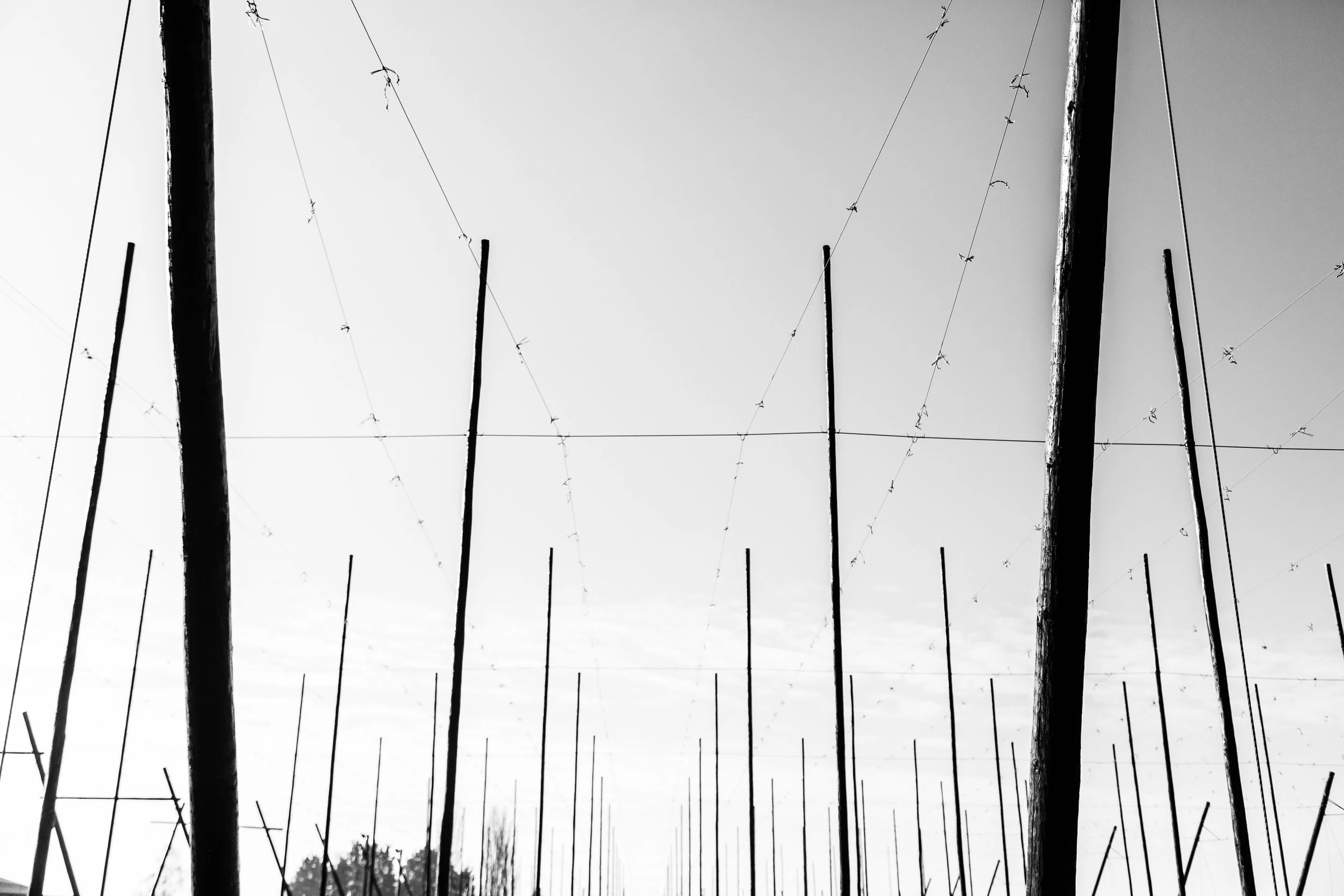 FP7A0070.jpg