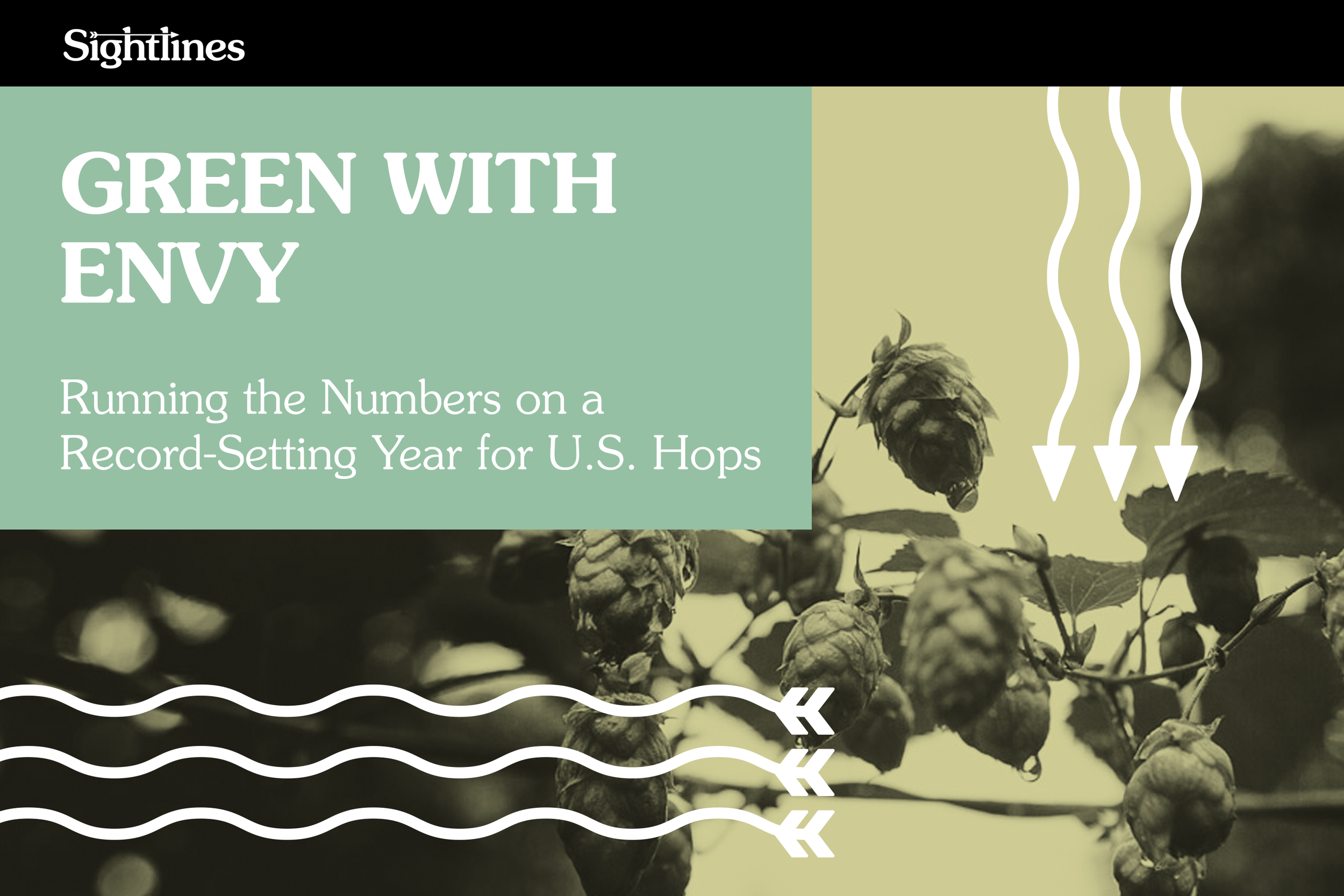 Green With Envy — Running the Numbers on a Record-Setting Year for U.S. Hops