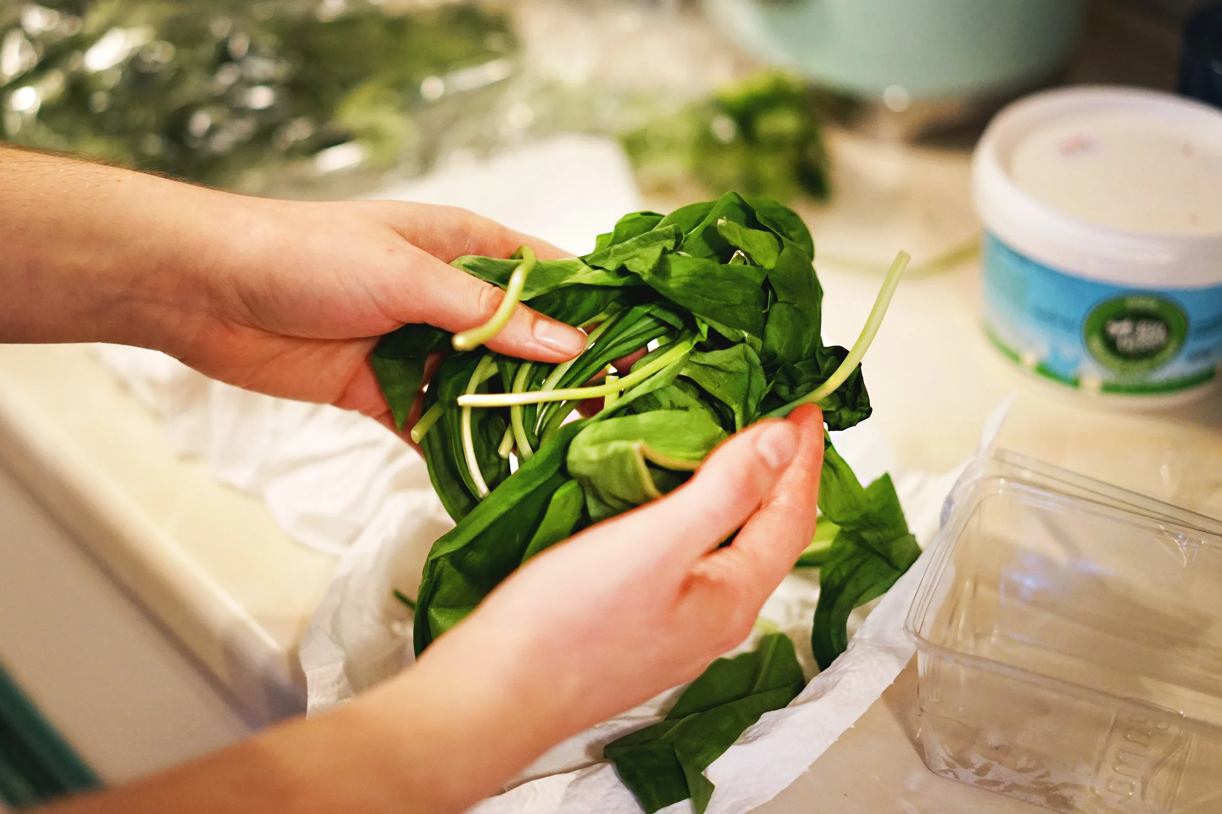 Wild Garlic BIG SHOT 02.jpg