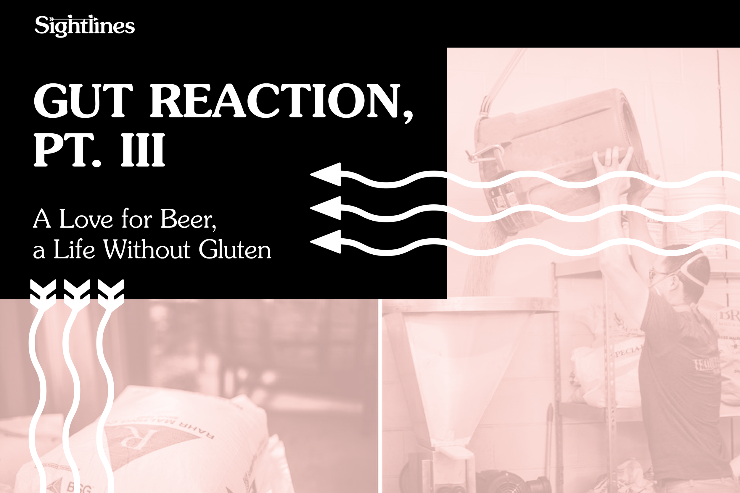 Gut Reaction, Pt. 3 — A Love for Beer, a Life Without Gluten