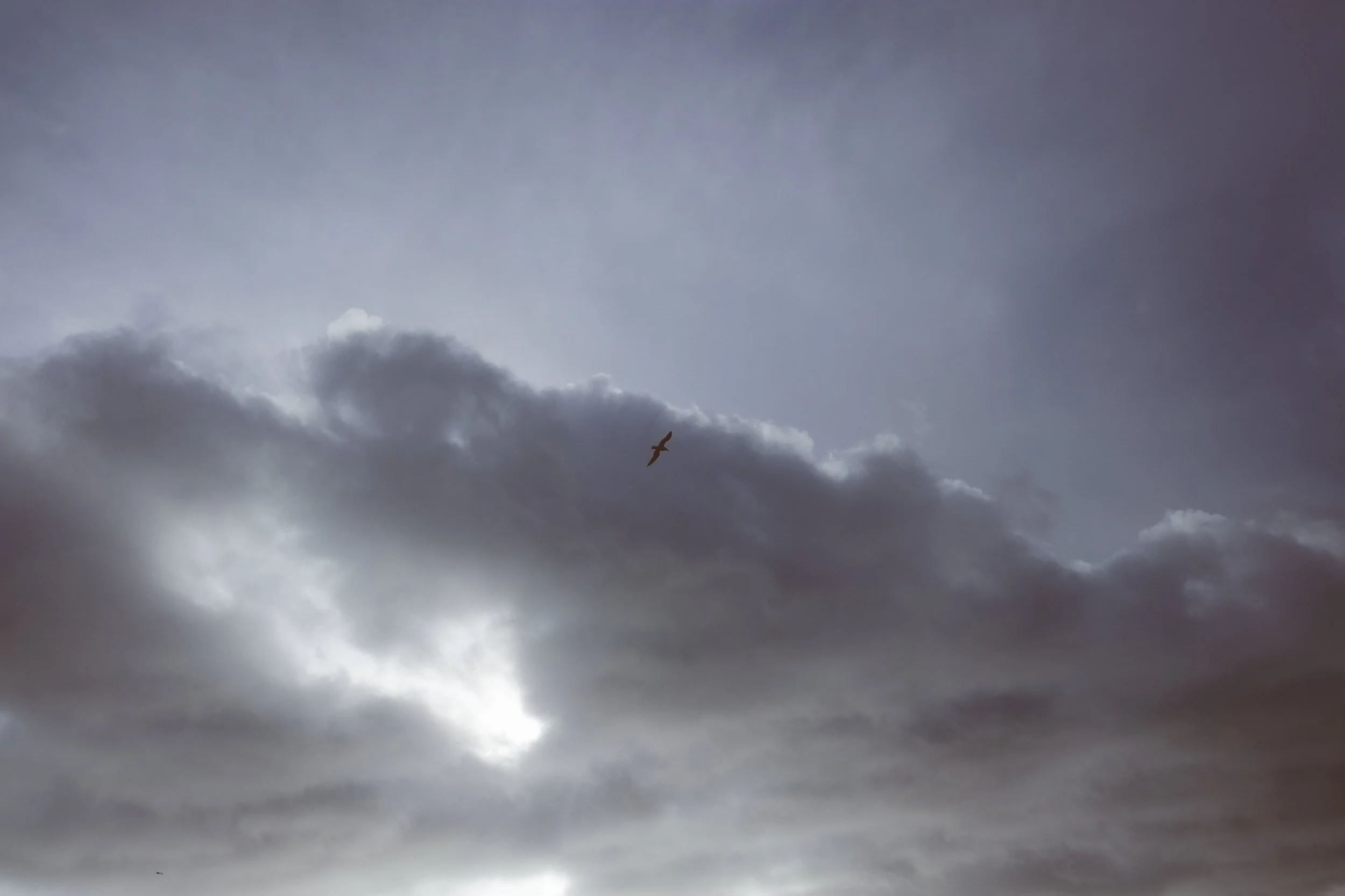 DSCF0142.jpg