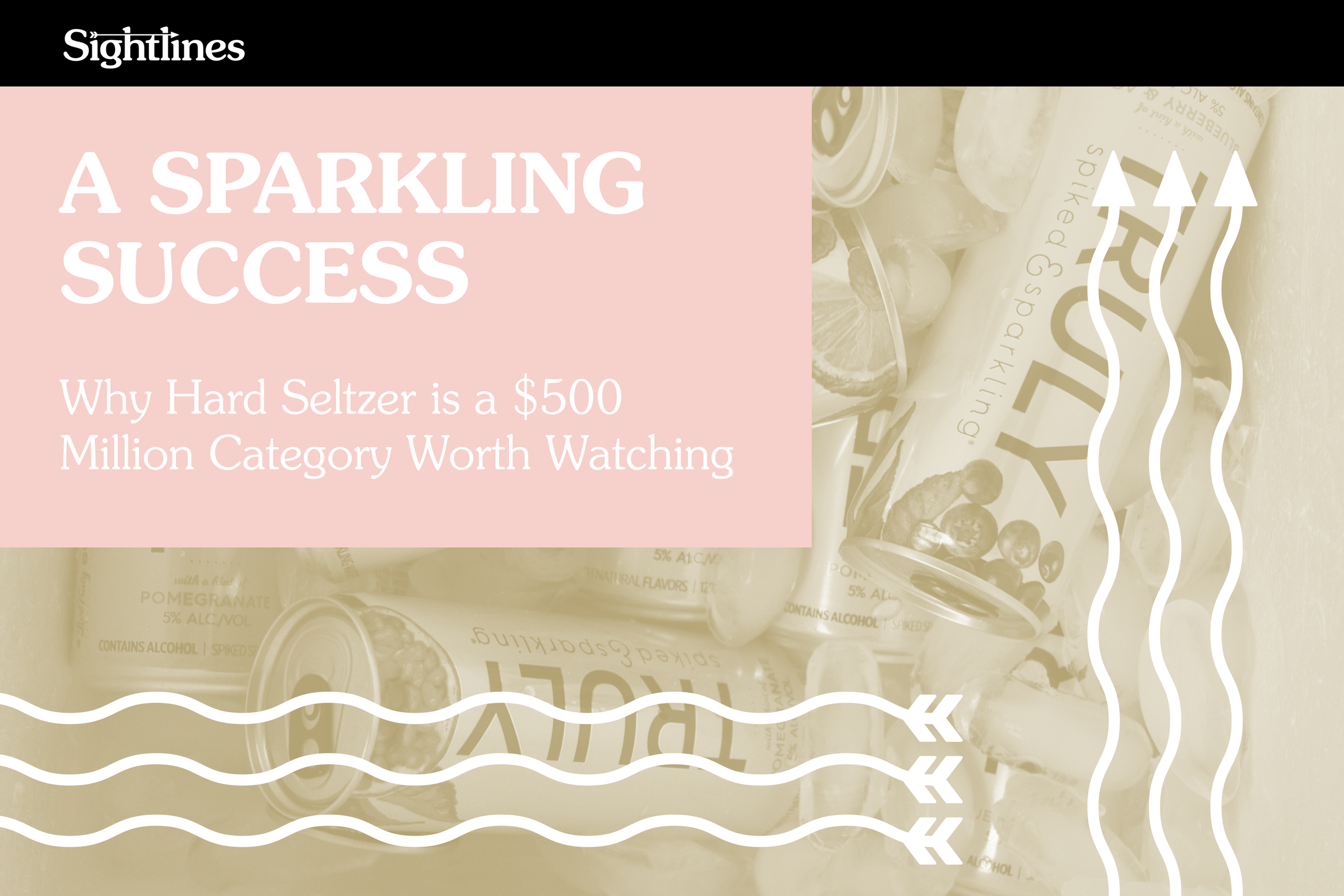 A Sparkling Success — Why Hard Seltzer is a $500 Million Category Worth Watching