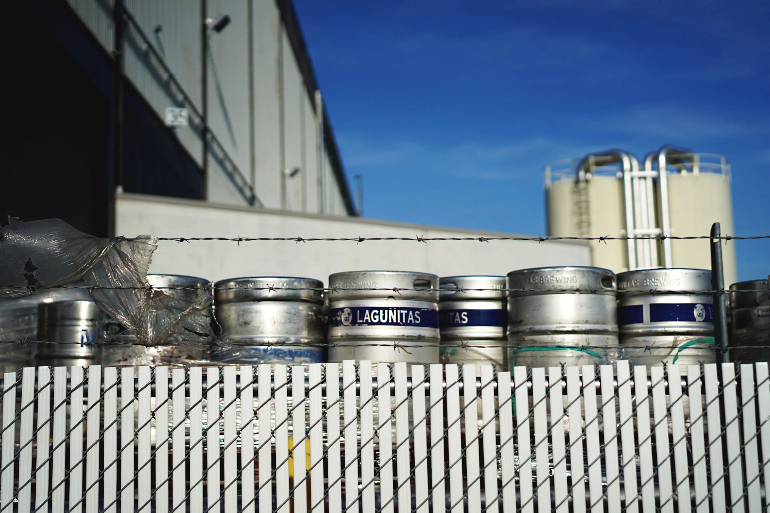 Lagunitas.jpg