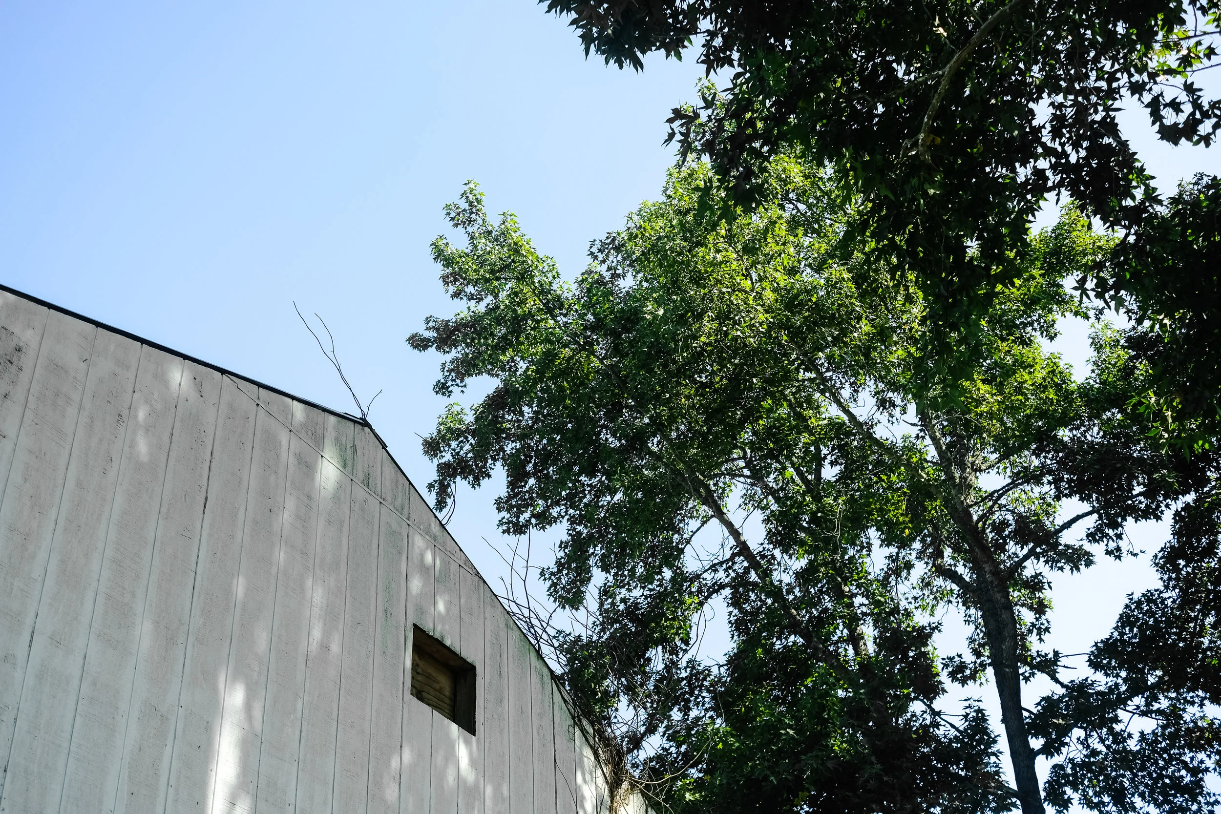 DSCF9094.jpg