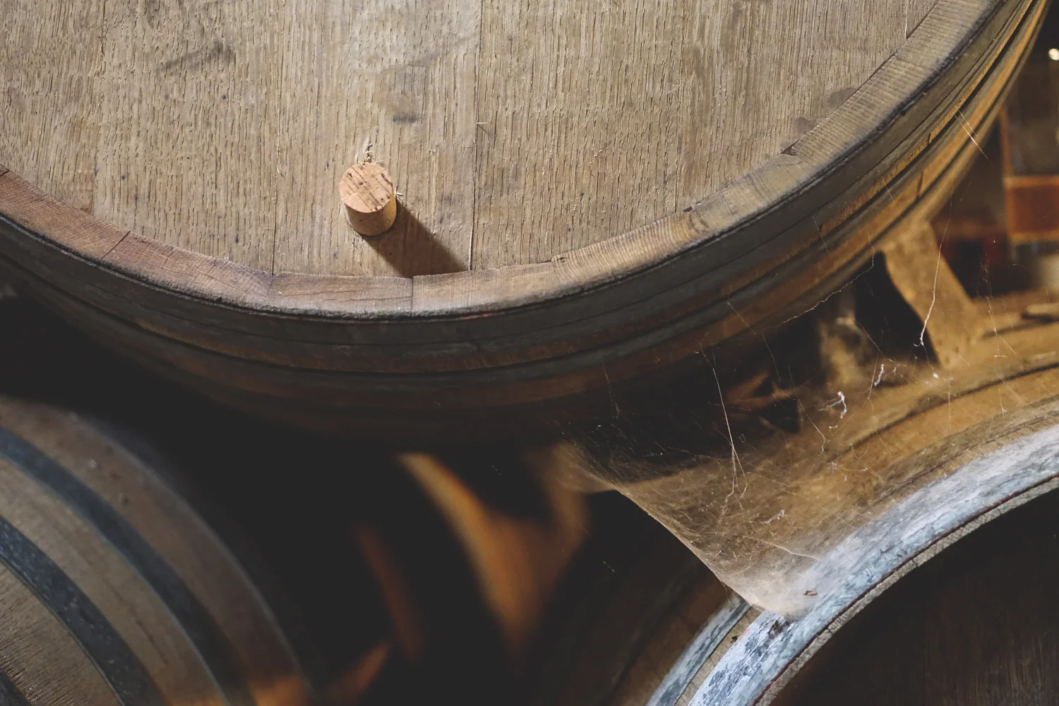 It’s About Time — Rodenbach Modernizes, Preps Collab Beer With Dogfish