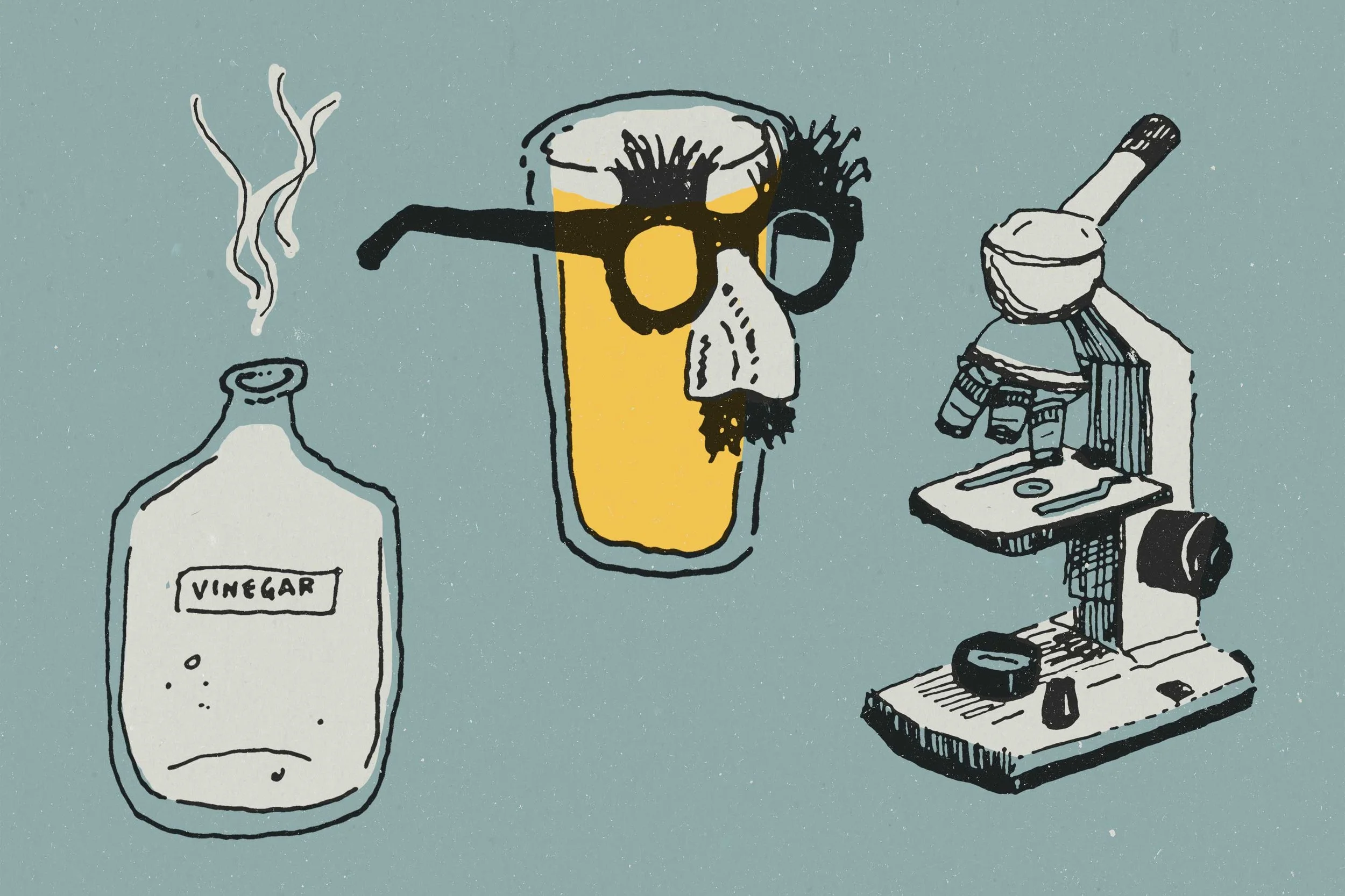chlapek-brett-yeast3.jpg