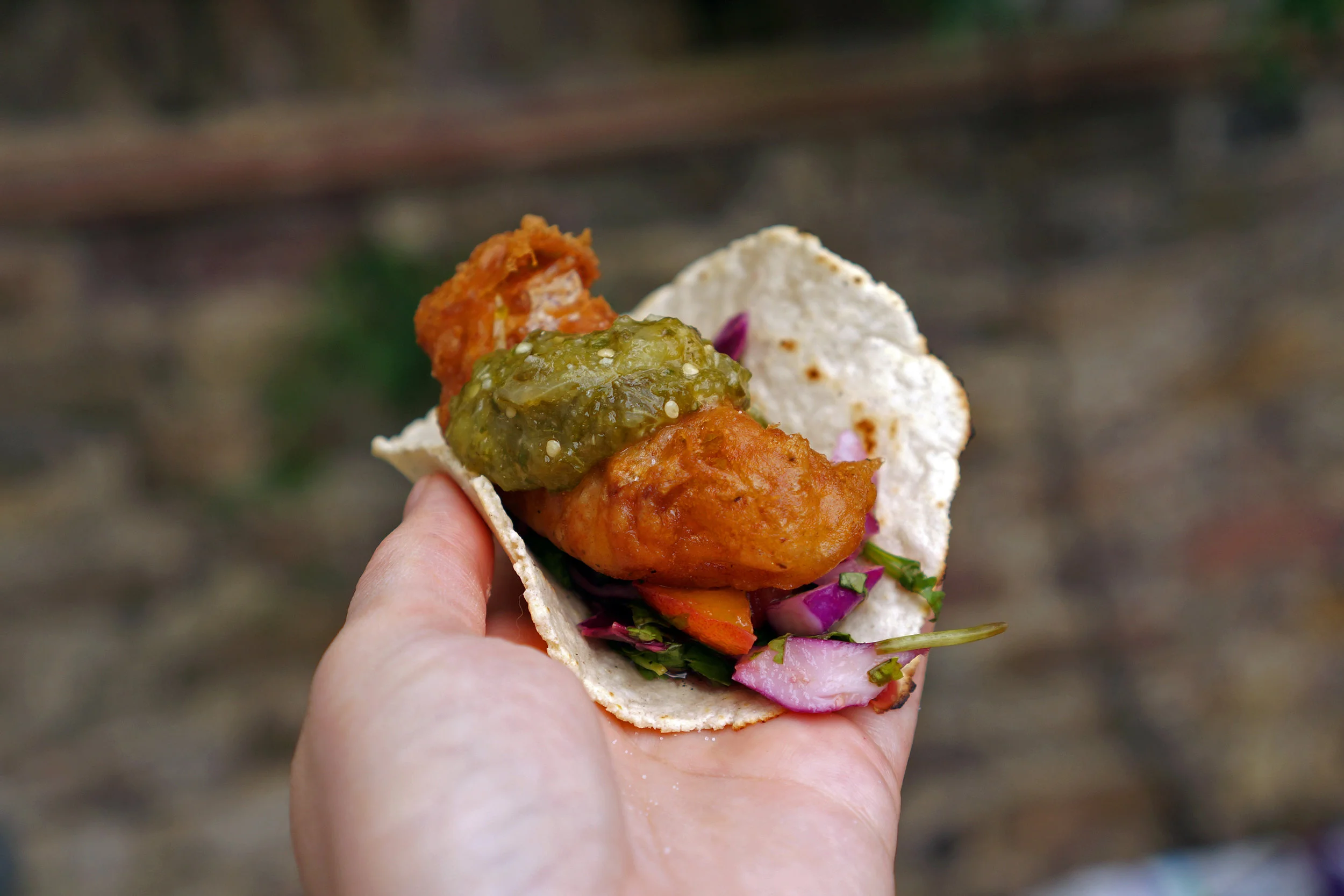 17.FishTaco.jpg