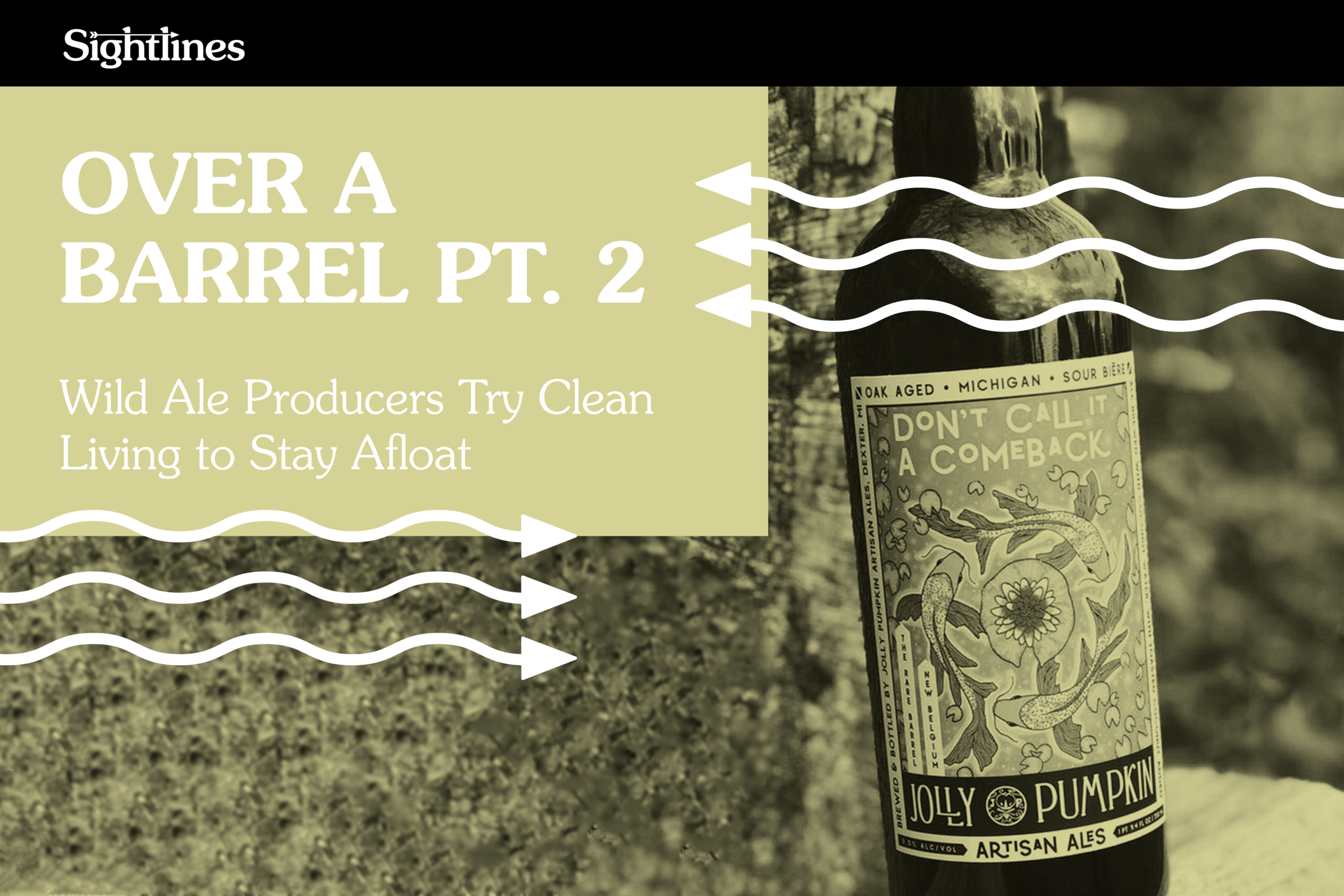 Over a Barrel Pt. 2 —&nbsp;Wild Ale Producers Try Clean Living to Stay Afloat