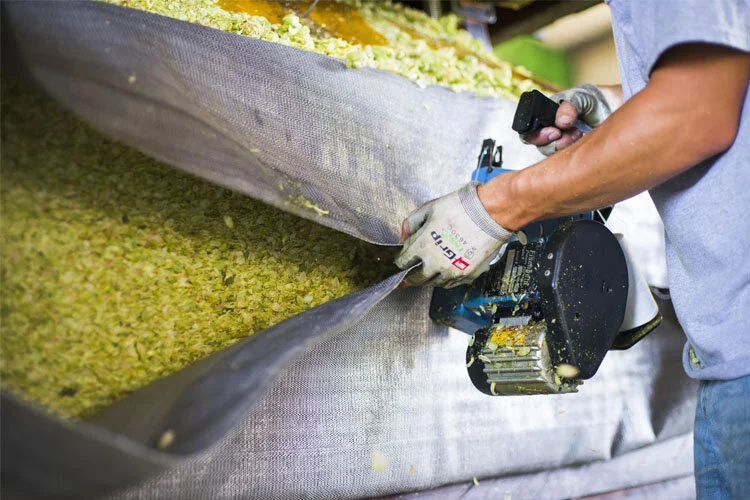 Bleeding Green, Pt. 1 — COVID-19 Forces U.S. Hop Farms to Cut Production During Historic Growing Season