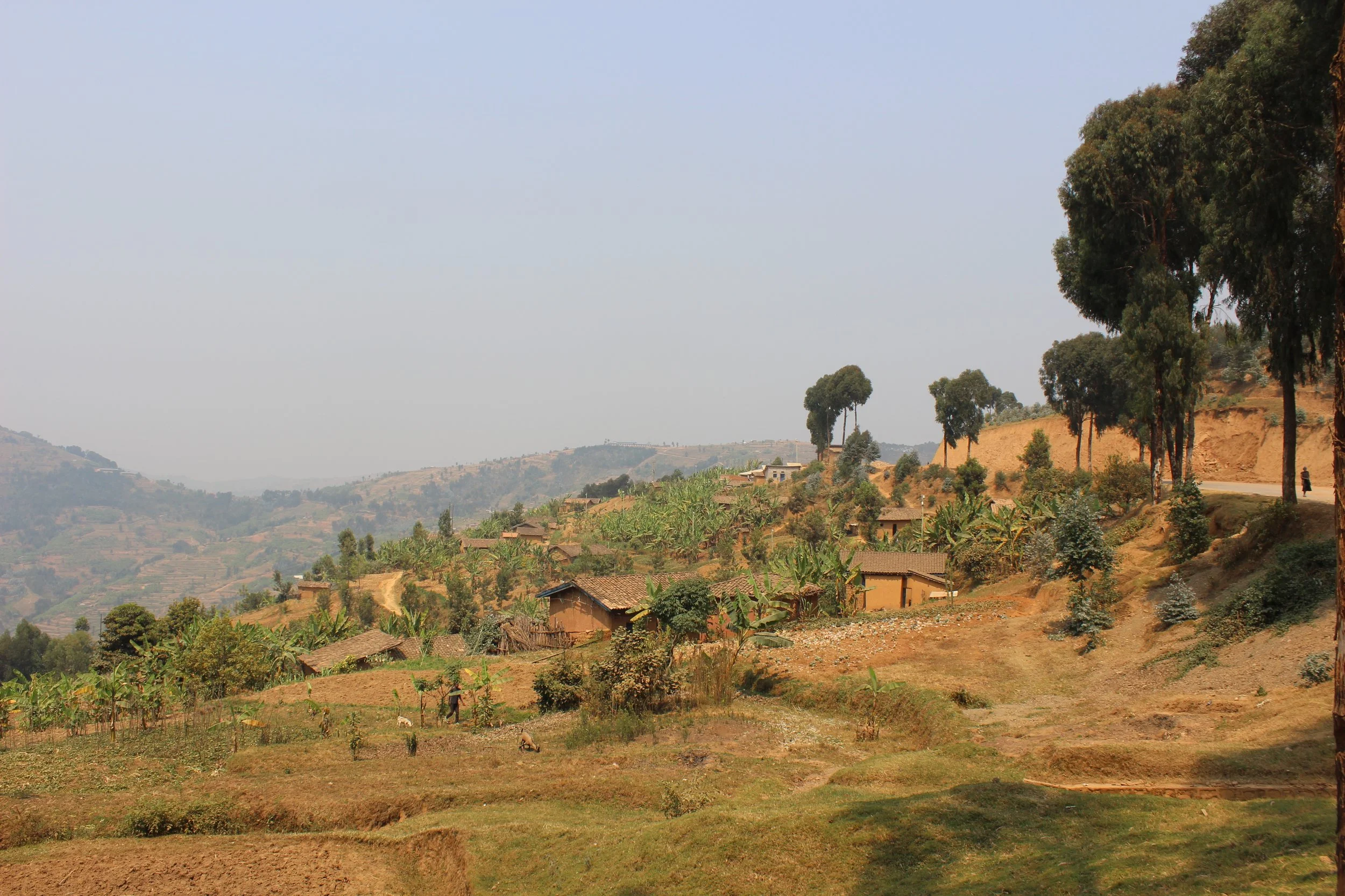 Women-Led, Women-Brewed — Kweza Craft Brewery in Kigali, Rwanda