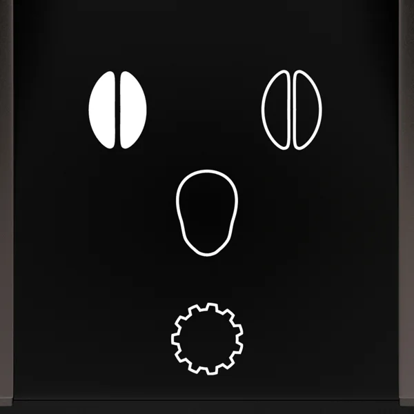 Transient