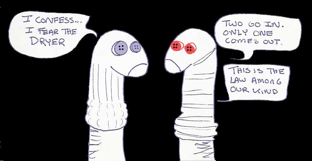 socks.jpg