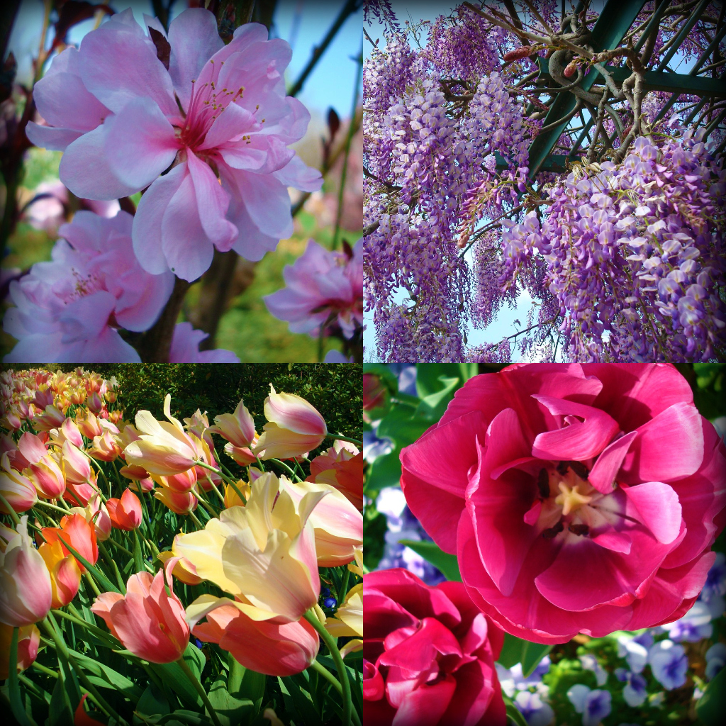 GrannyatArboretum1.jpg