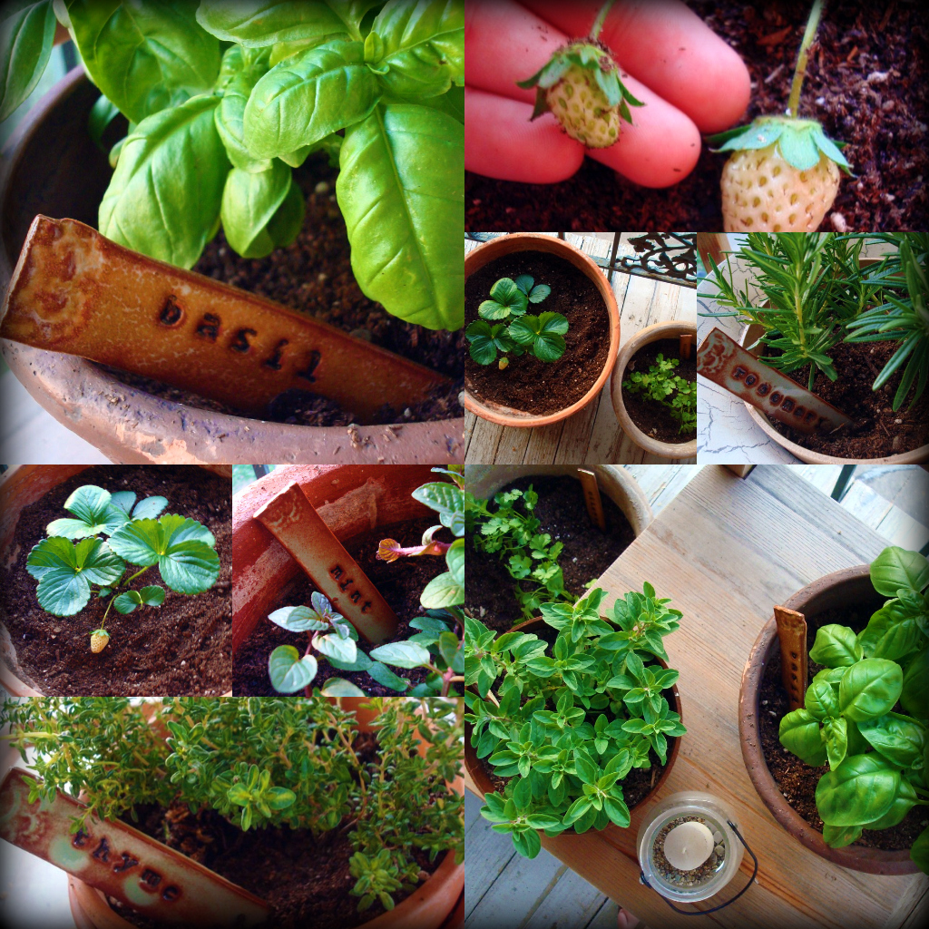 PorchGarden1.jpg