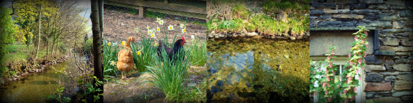 LakeDistrict1.jpg