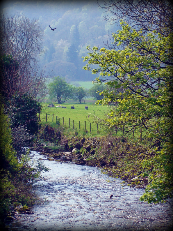 LakeDistrict3.jpg