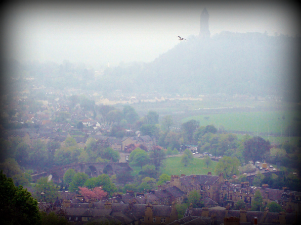 Stirling7.jpg