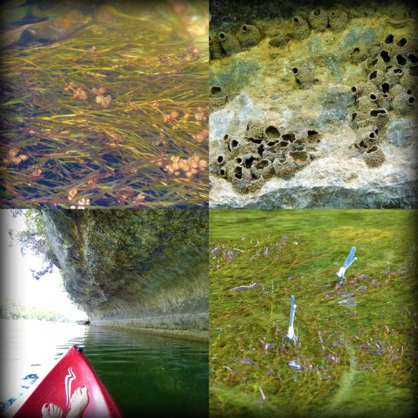 Kayaking3.jpg