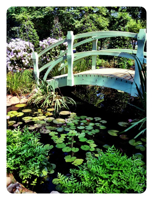 arboretum5812.jpg