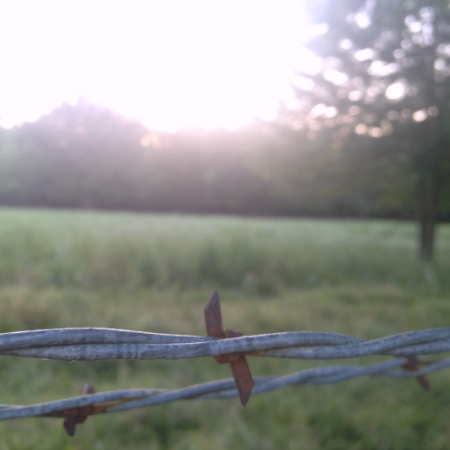 barbedwiresunset.jpg