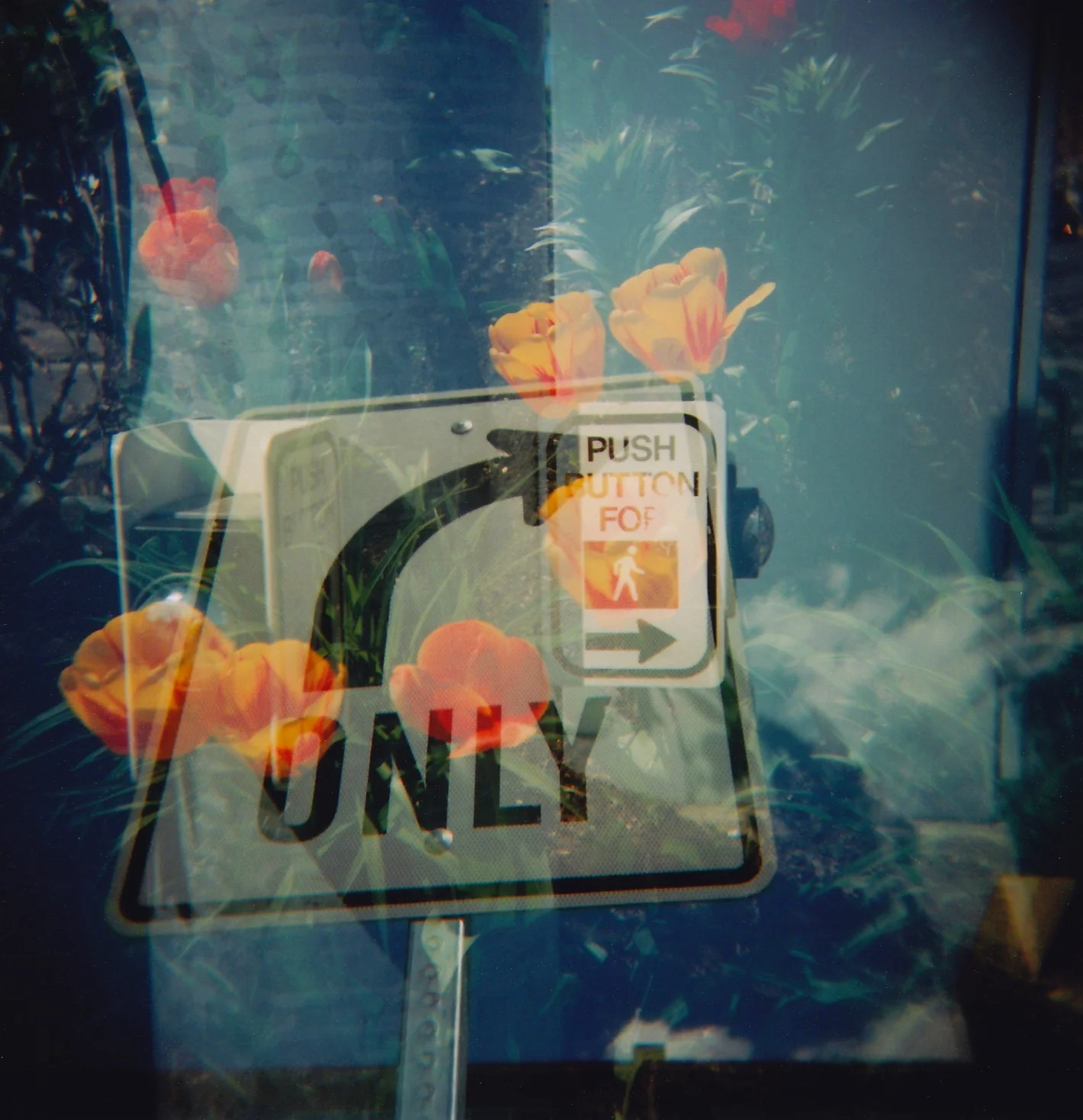 holga_0094.JPG