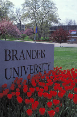 Avneesh Newar (Brandeis ´16) talks about his freshman year at Trinity and his transfer to Brandeis
