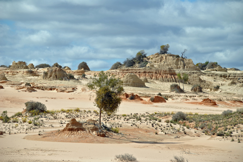 DSC_0550.JPG