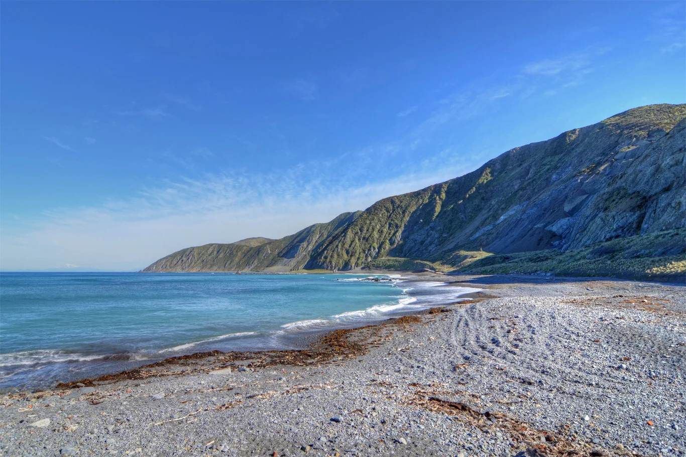 Island Bay 1.jpg