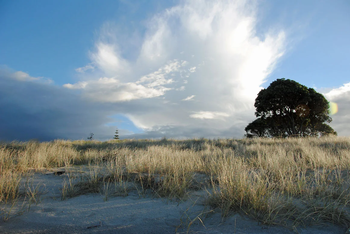C Paranui Beach 1.jpg