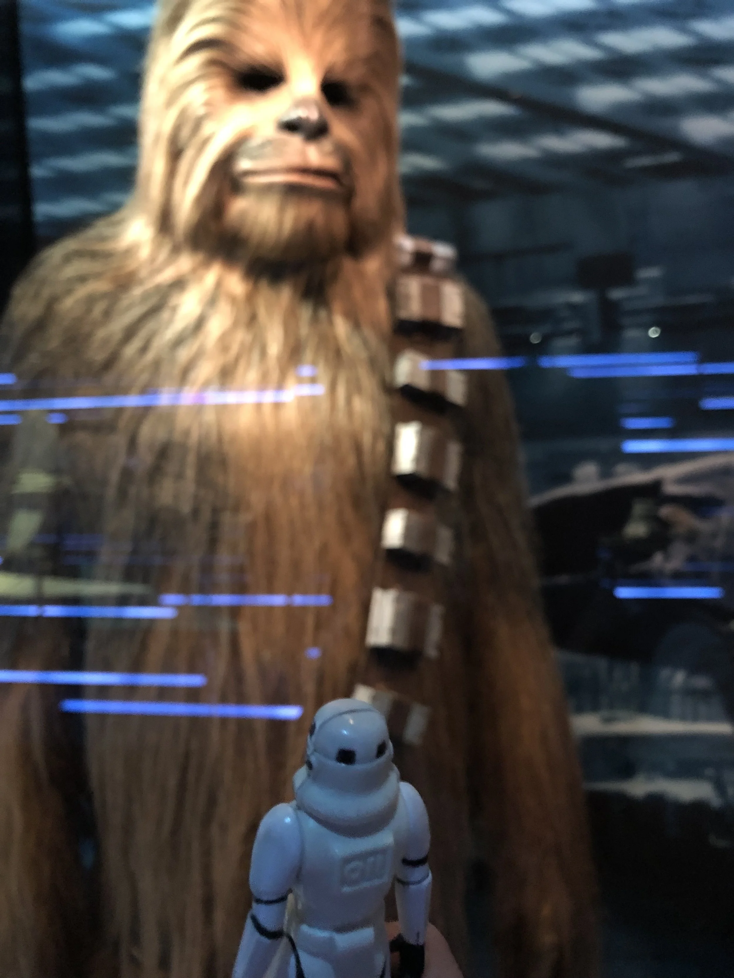 IMG_0179.jpeg