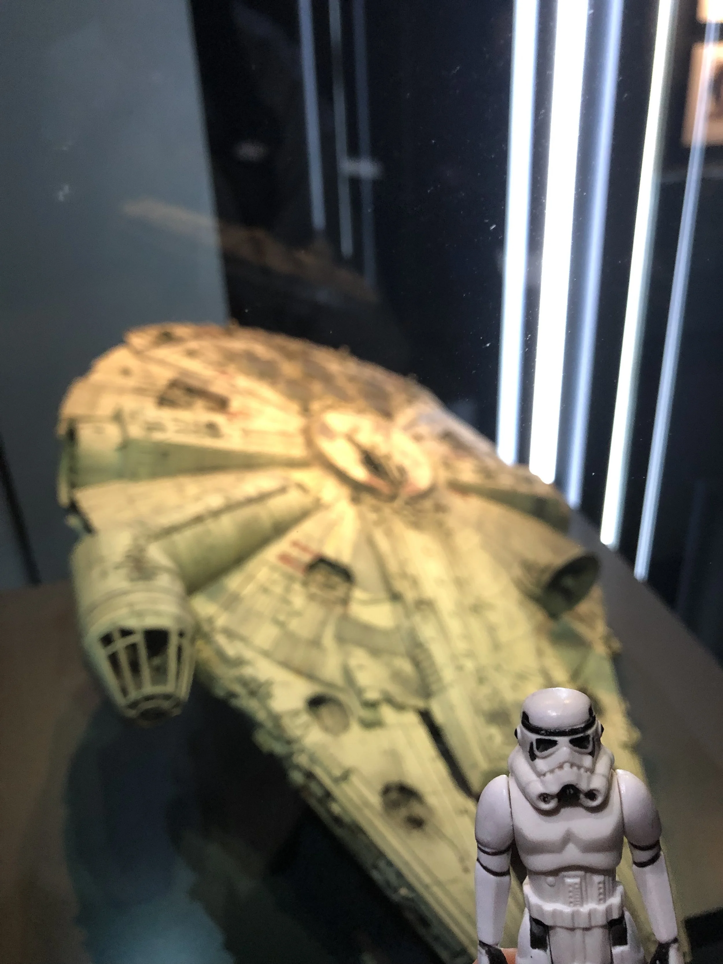 IMG_0182.jpeg
