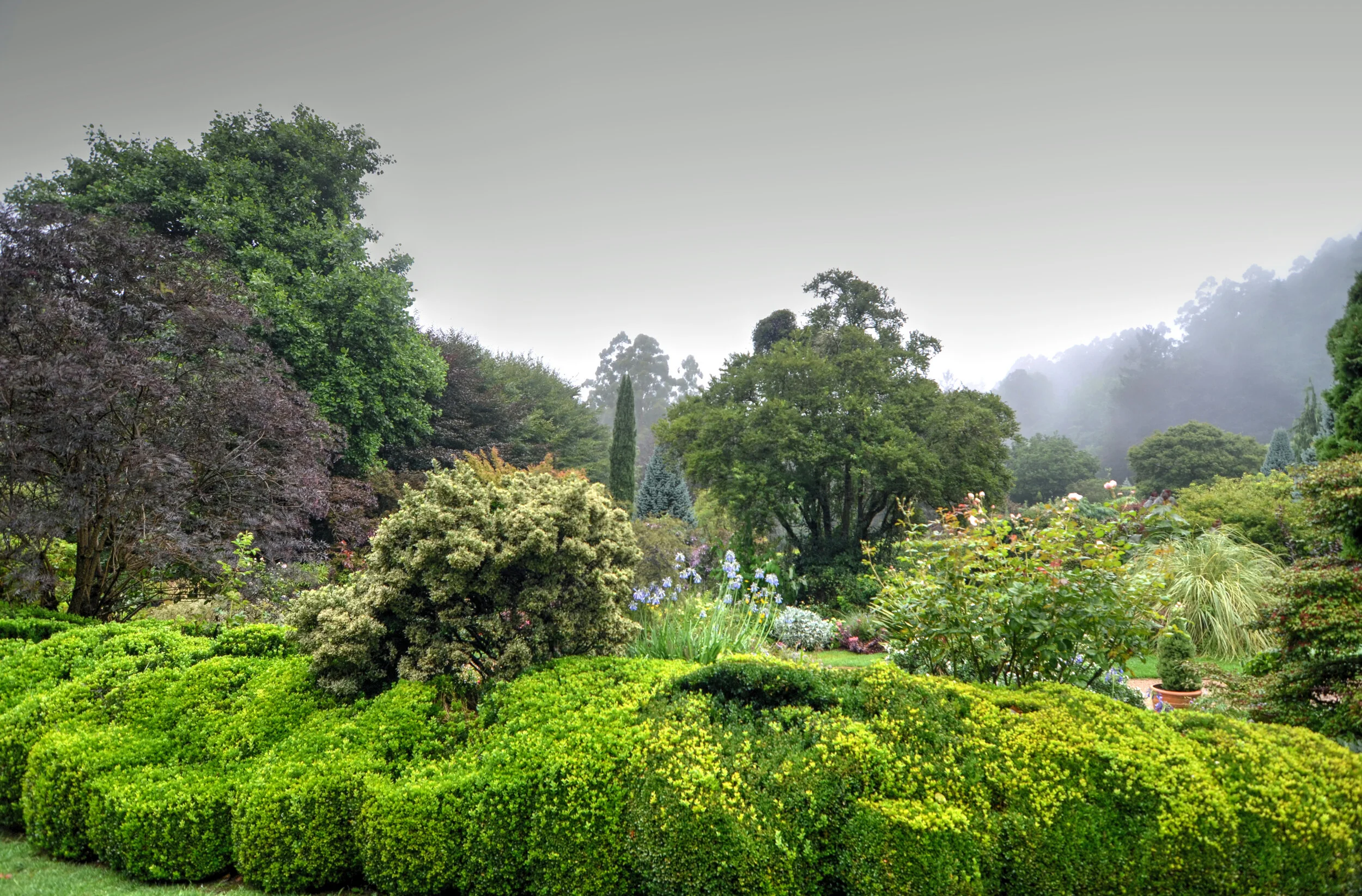 DSC_6938_39_40.jpg