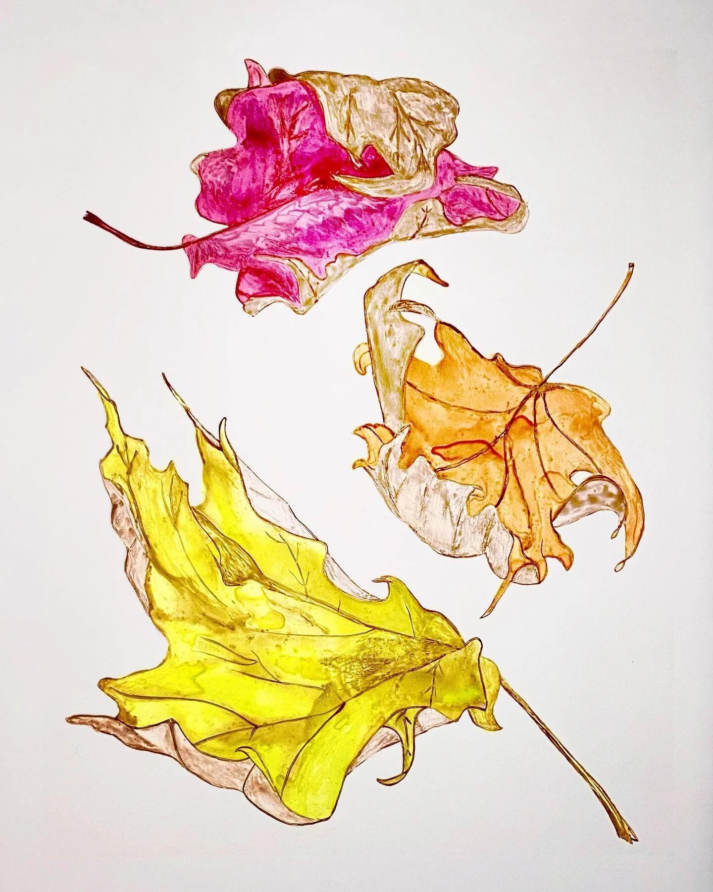 Bold fall colors in my latest work, Maple Crunch. GumArabic Monoprint 22x29&rdquo;. See it now at the Center for Contemporary Printmaking Monothon. #fall #autumn #mapleleaf #printmaking #centerforcontemporaryprintmaking #monothon2021 #monothon #maple