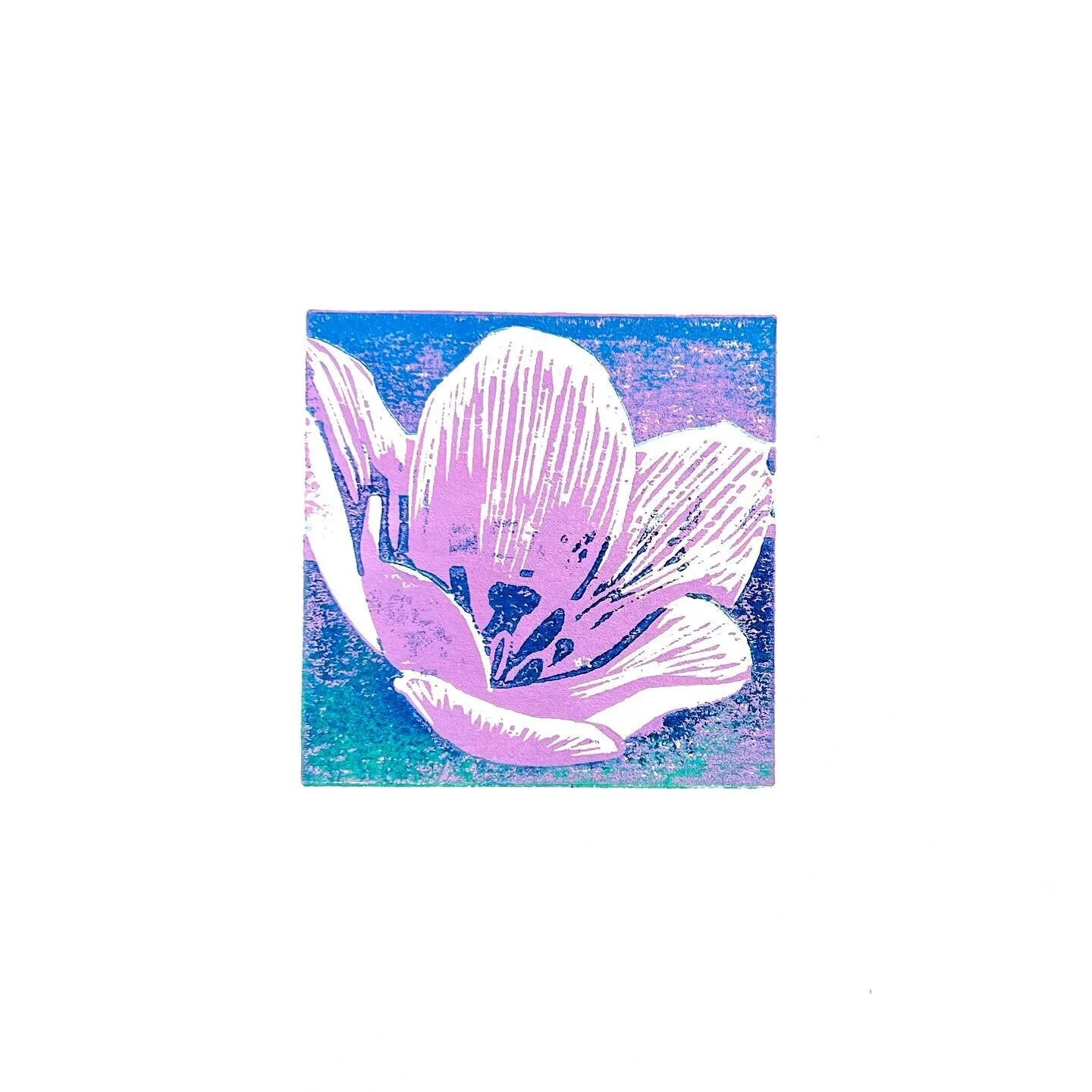 a spring splash of crocus flower power for our beautiful planet-earth day. 3&rdquo;x3&rdquo; woodblock reduction on BFK Rives, edition of 5.  #flowerpower #crocus #woodblockprinting #printmaking #earthday #springflower #colorfulart #miniprint #flower