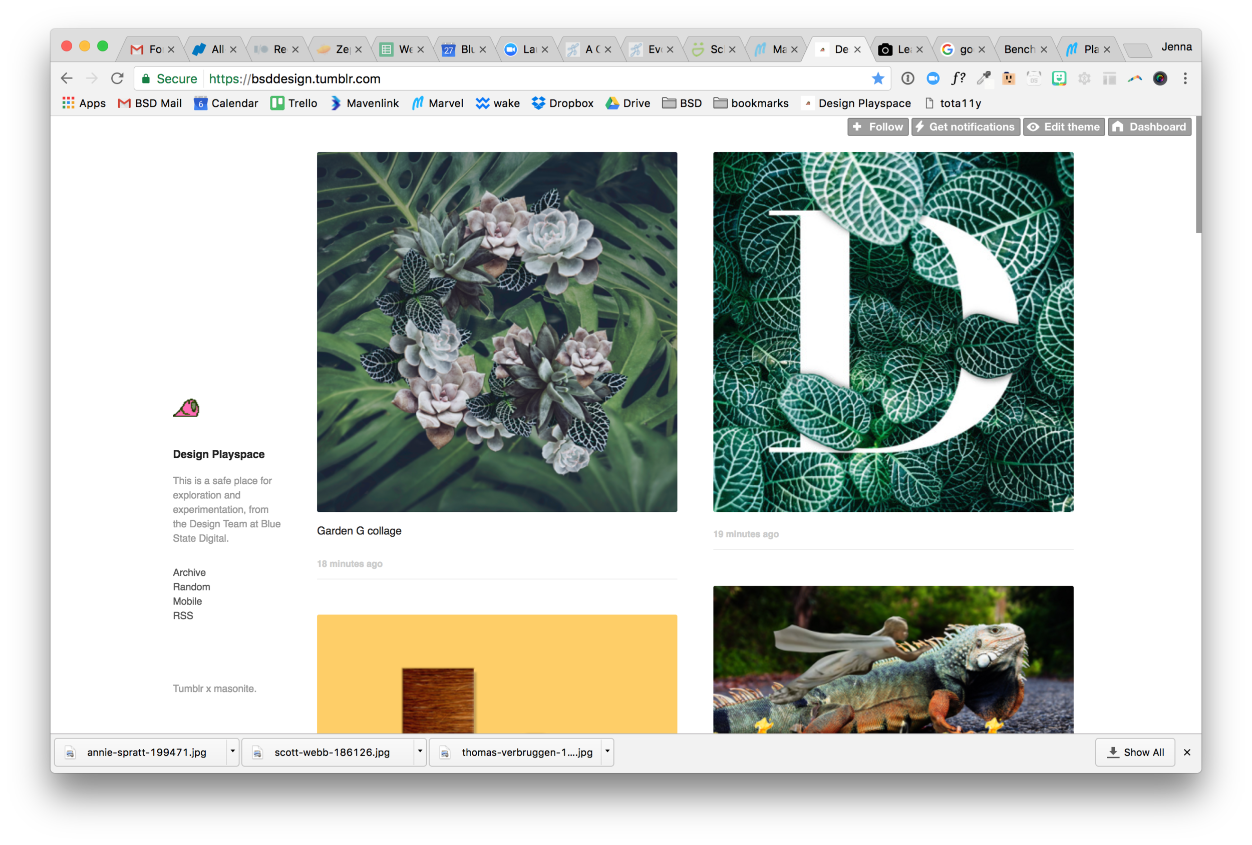 This week's prompt is Collage. 