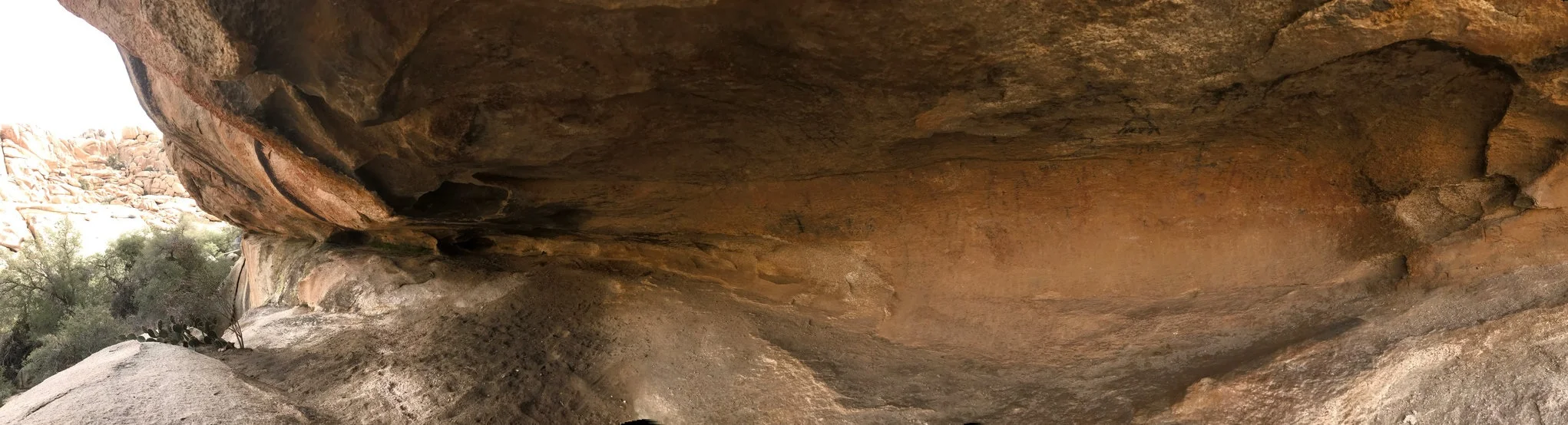 Local beta: The contractor of my friends’ house in Yucca Valley (where I’m staying as they finish up the remodel) drew me a map to find a hidden cave of petroglyphs well off the marked trails, up the wall of a tucked-away box canyon. You can see the markings all over the ceiling and walls in faded blacks and reds. Despite it being an unmarked trail, there’s an NPS sign at the foot of the canyon forbidding climbing to preserve the prehistoric drawings.