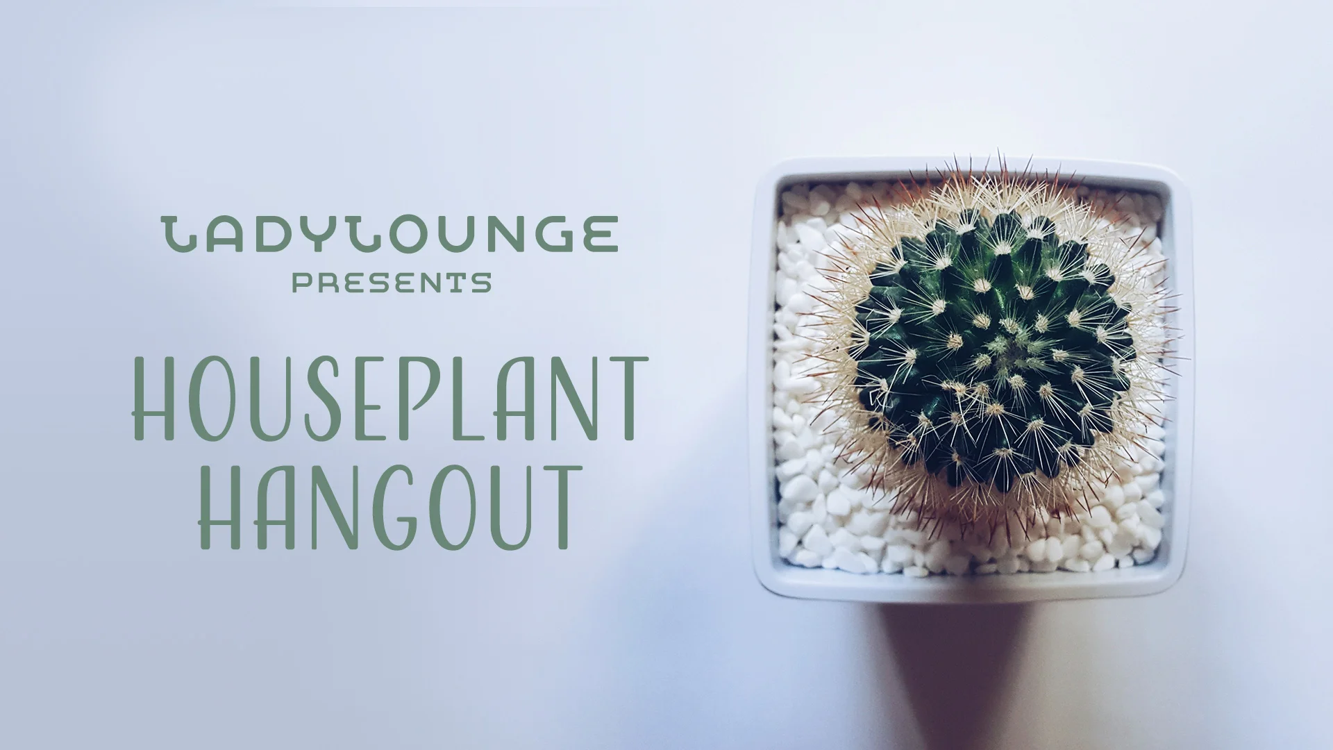 houseplant hangout.jpg