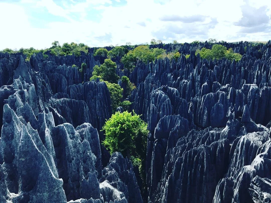 This, as far as the eye can see.
